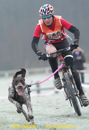 Rastede 08 - 1203.jpg